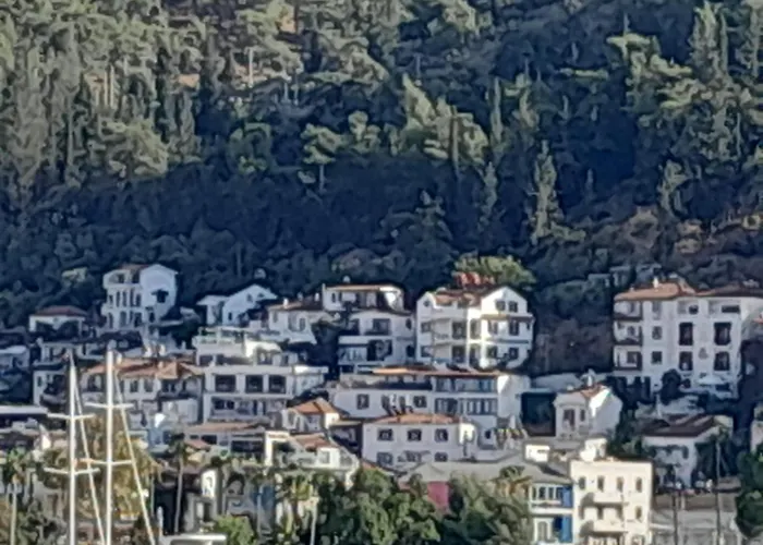 Apartamento Truline *